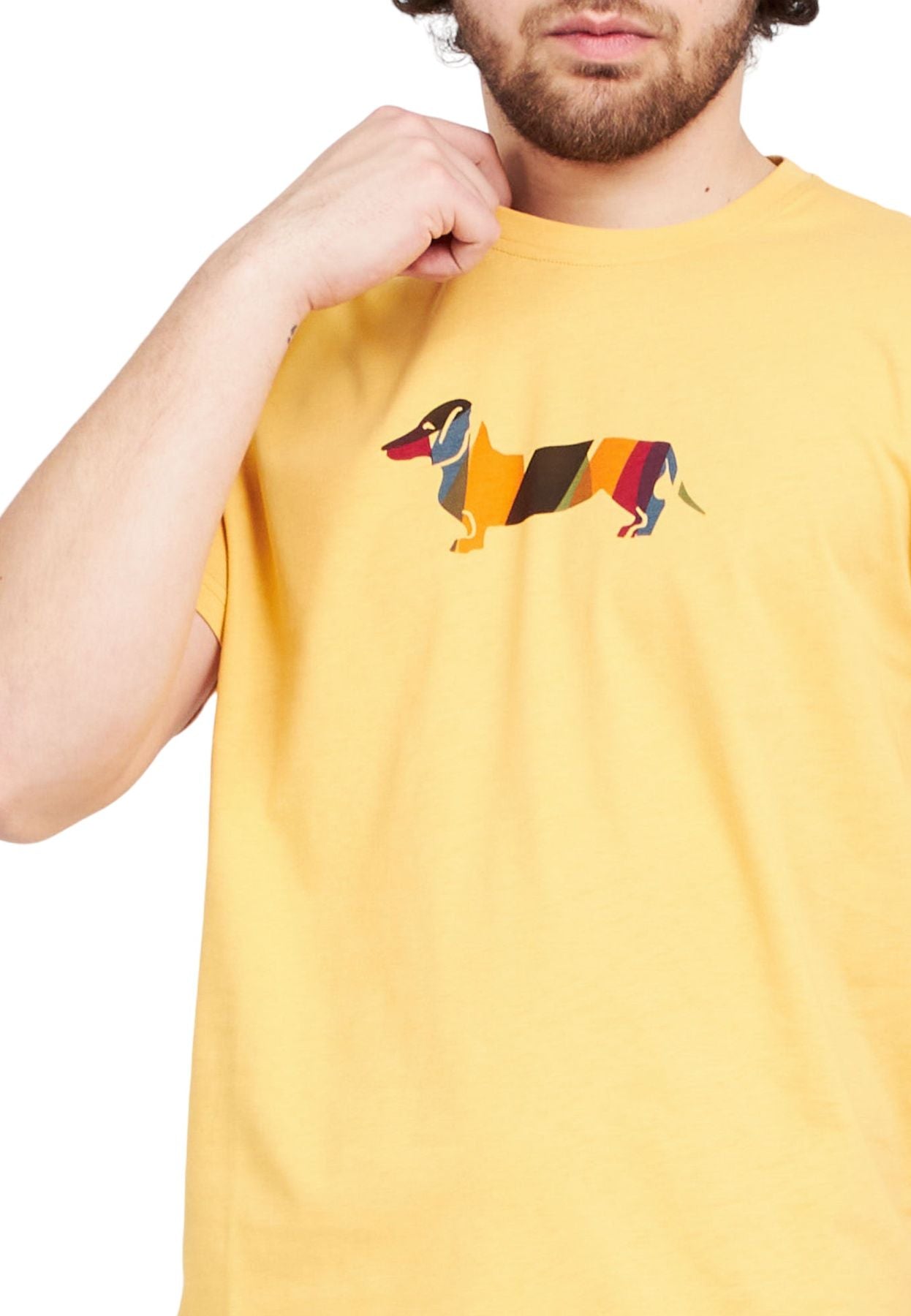 T-Shirt Manica Corta Uomo Harmont & Blaine  Con Logo Stampato IRJ003021223