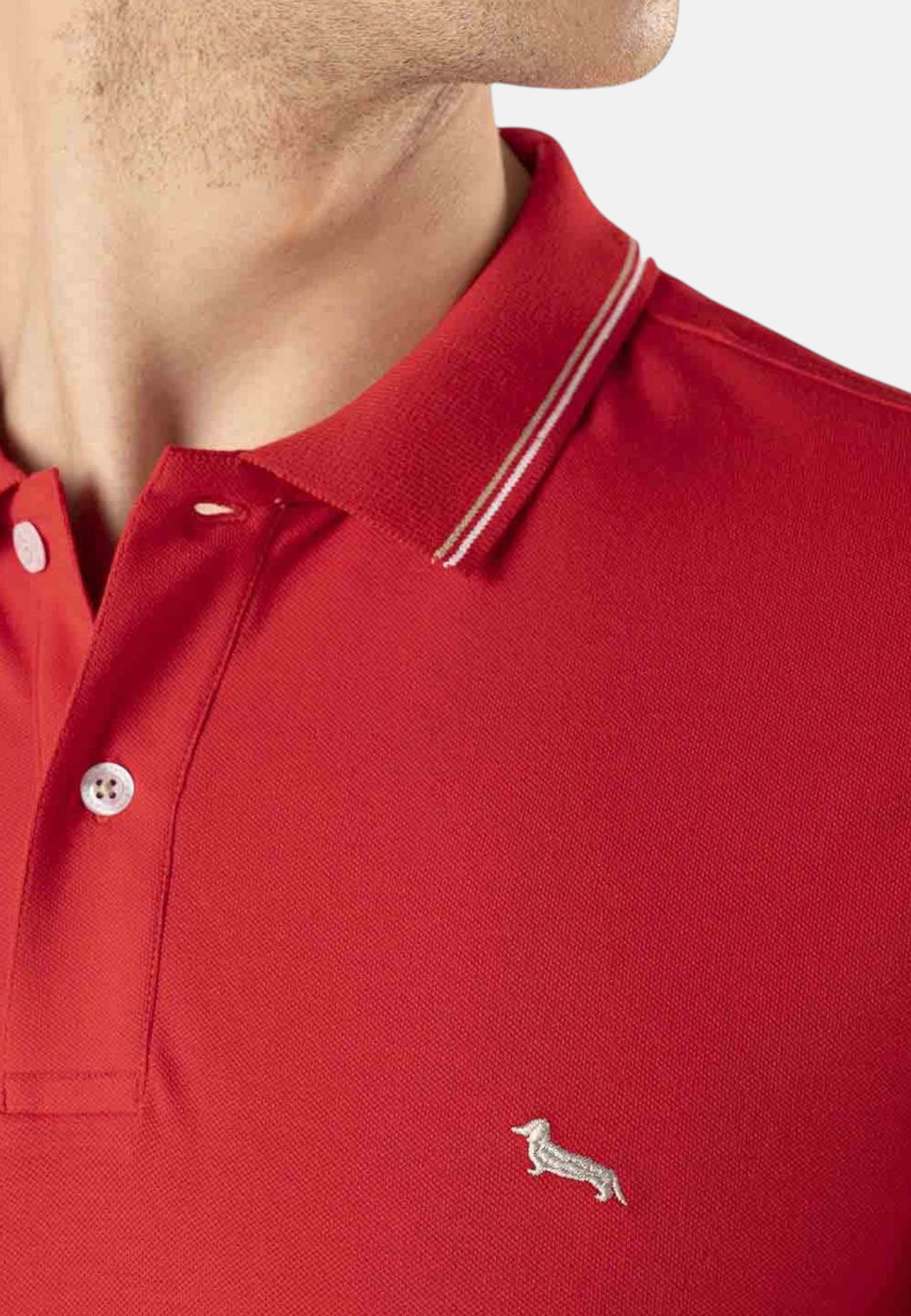 Polo Manica Corta Uomo Harmont & Blaine   LNH032020862
