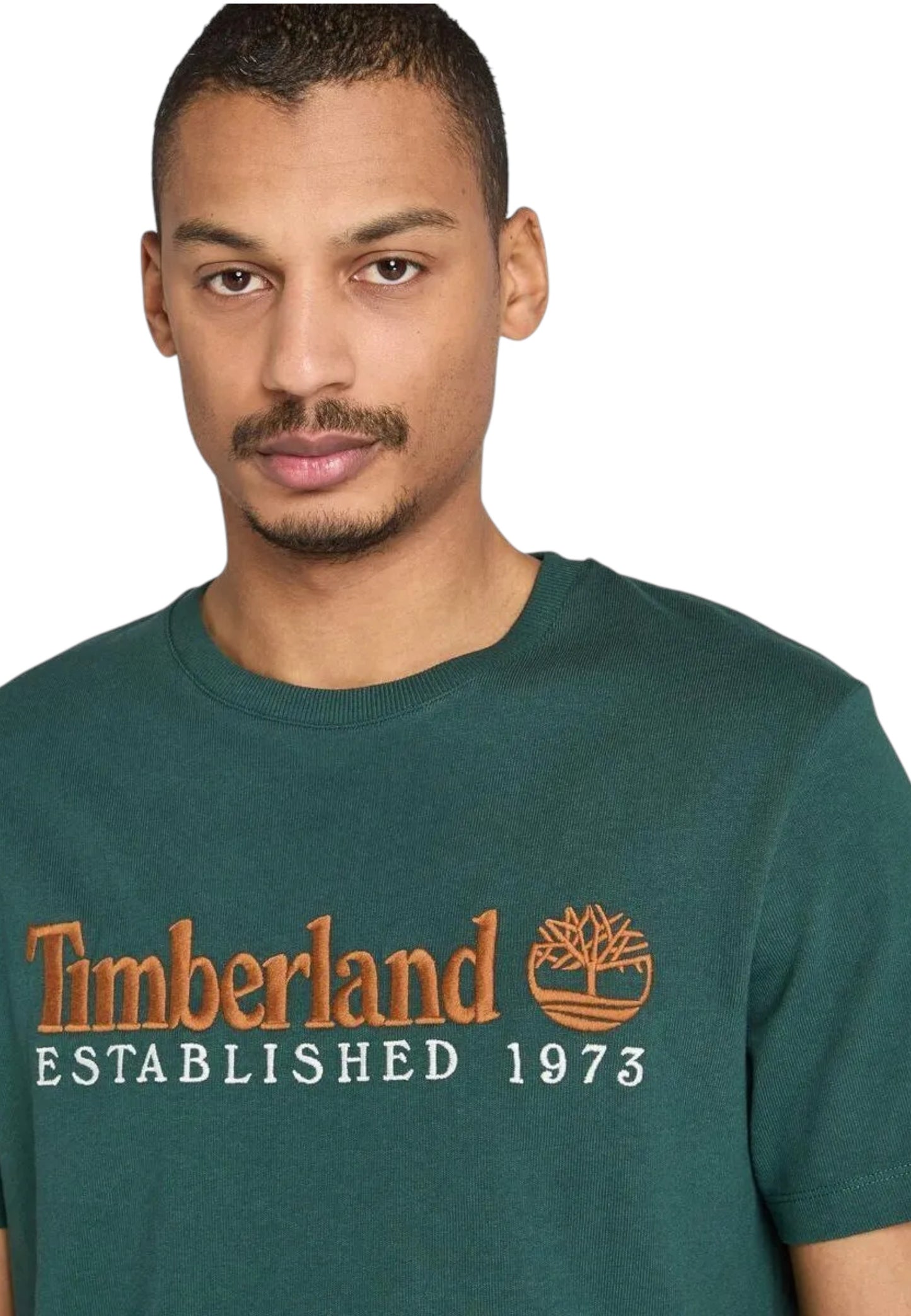 T-Shirt Manica Corta Uomo Timberland  Established 1973 Embroidery TB0A6SE1