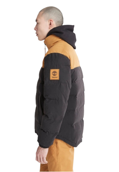 Piumino Corto Uomo Timberland   TB0A22XB