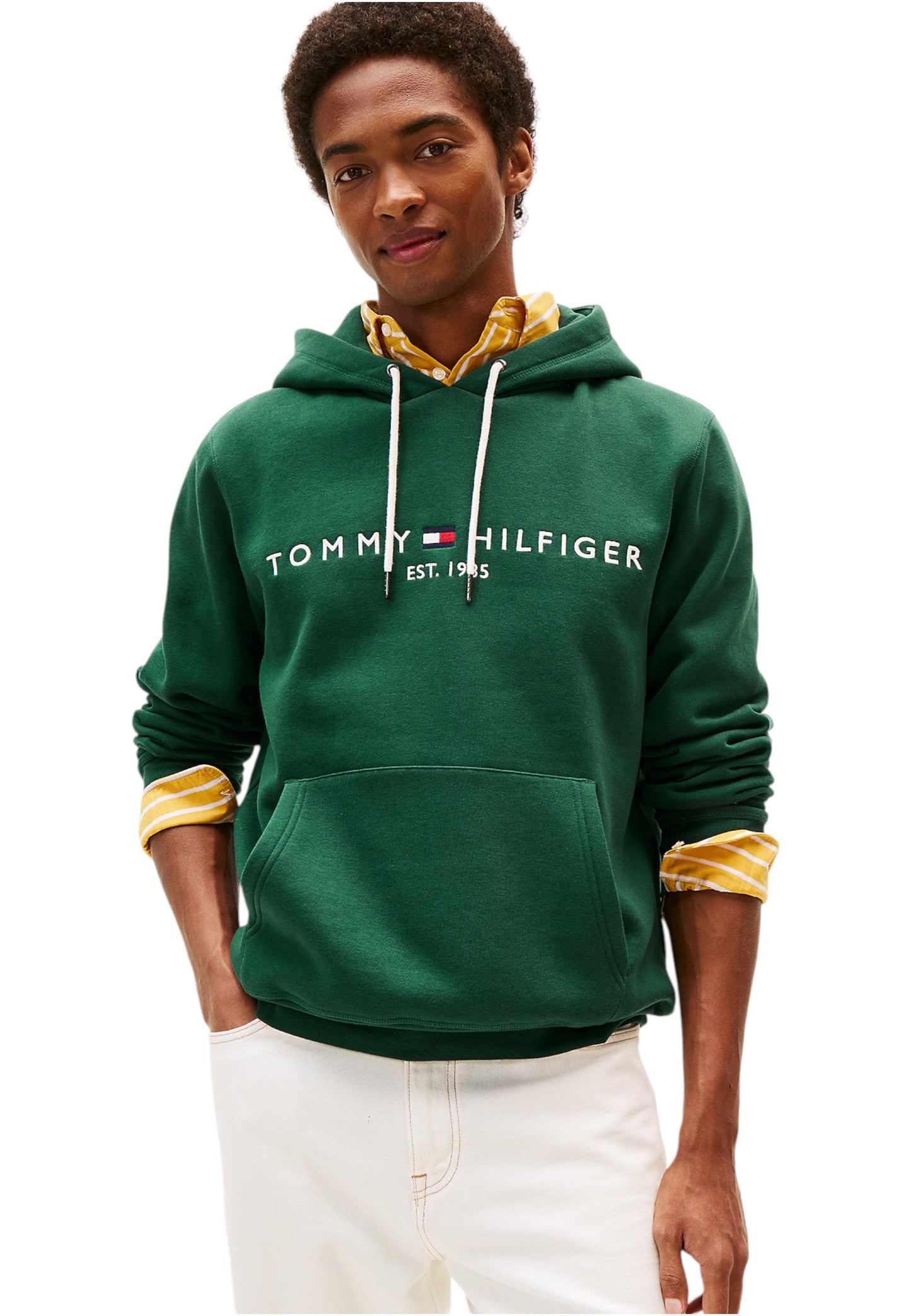 MW0MW11599 - Felpa - Tommy Hilfiger