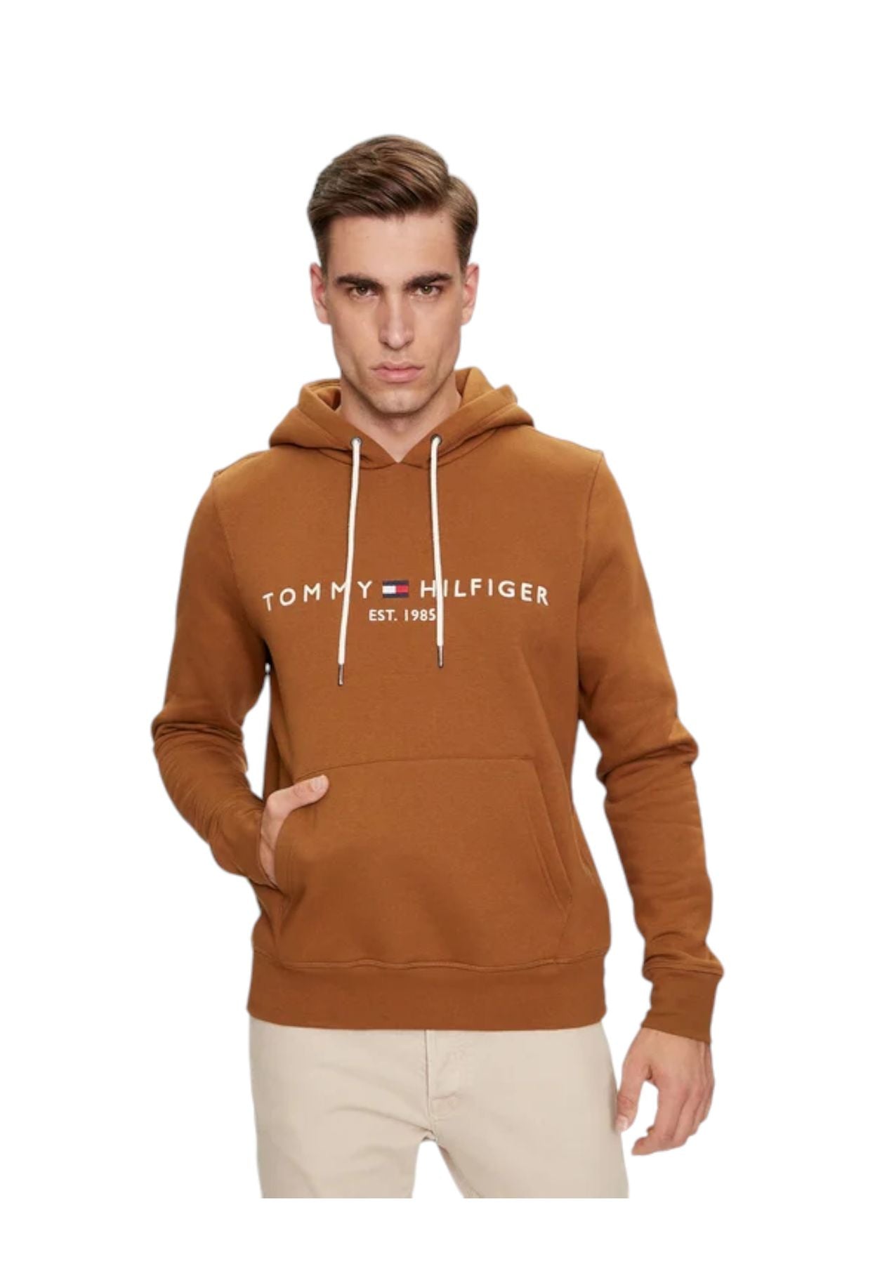 MW0MW11599 - Felpa - Tommy Hilfiger
