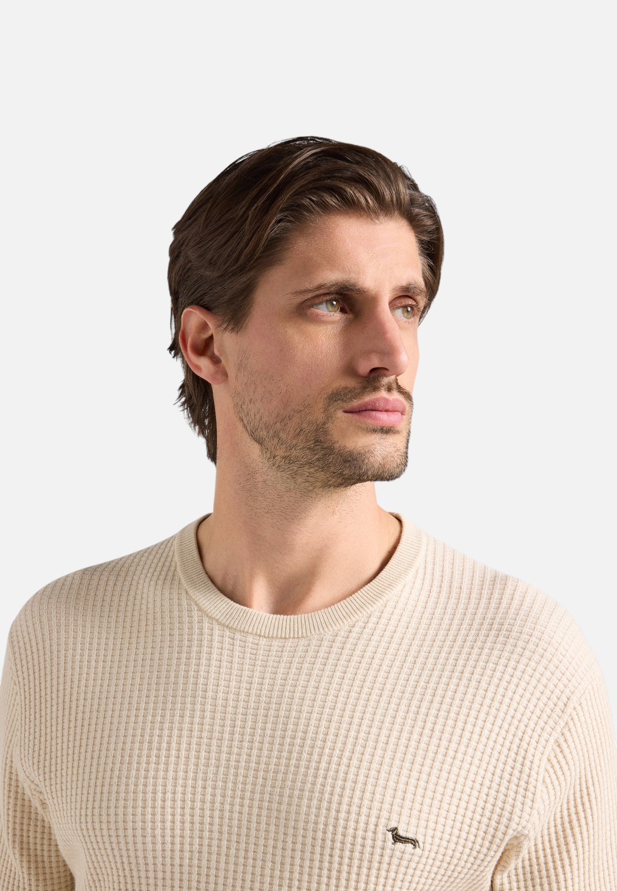 Maglia A Girocollo Uomo Harmont & Blaine Misto cotone e lana, Lavorazione 3D, Regular Fit, Finiture a costine, Logo Harmont & Blaine  HRR959030788