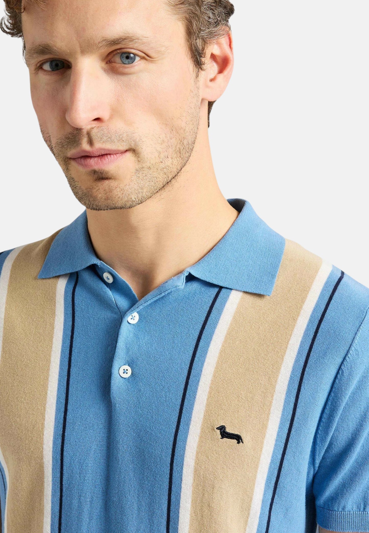 Polo Manica Corta Uomo Harmont & Blaine In Maglia SmacchInata Righe Verticali  HRQ856031075