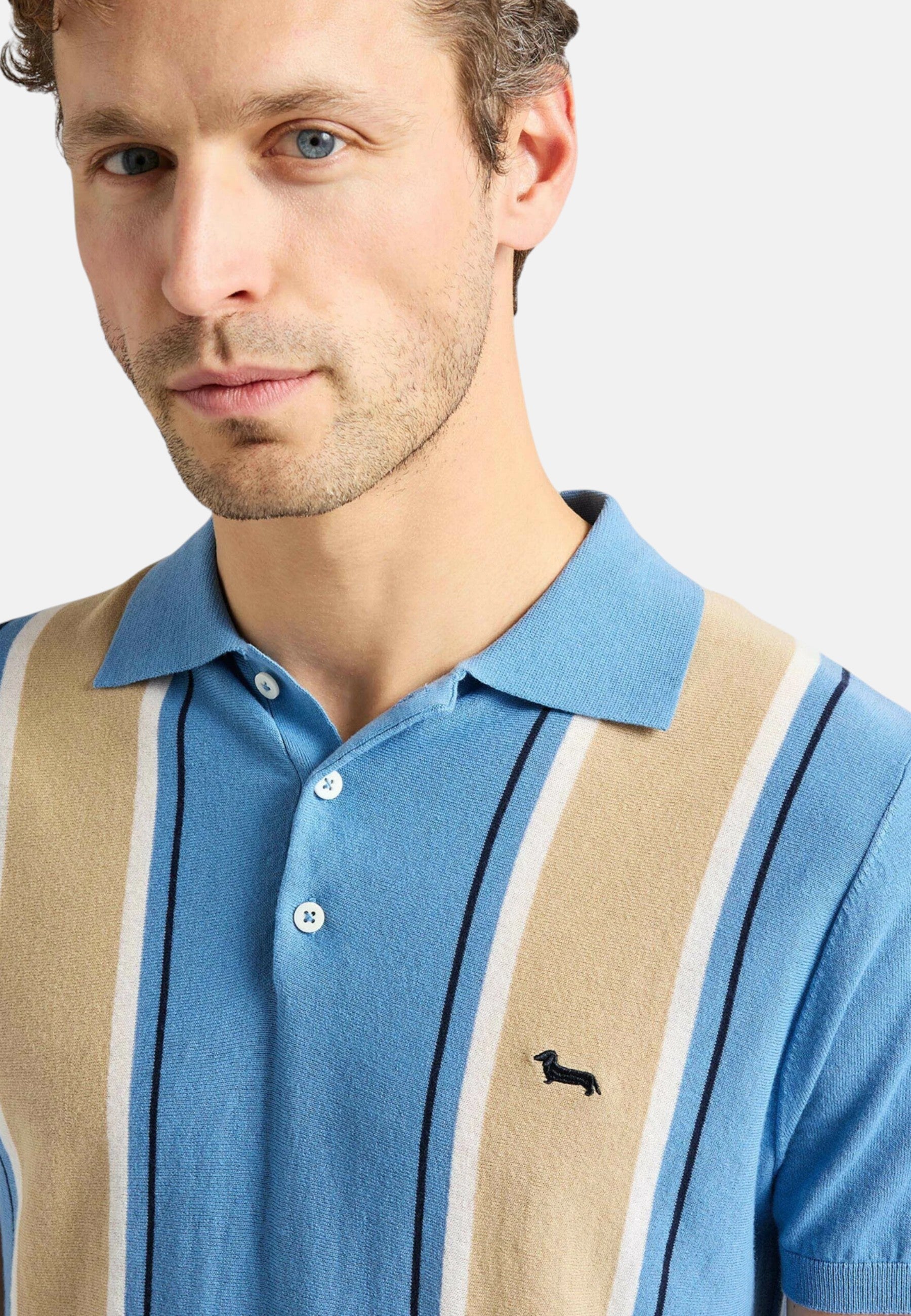 Polo Manica Corta Uomo Harmont & Blaine In Maglia SmacchInata Righe Verticali  HRQ856031075