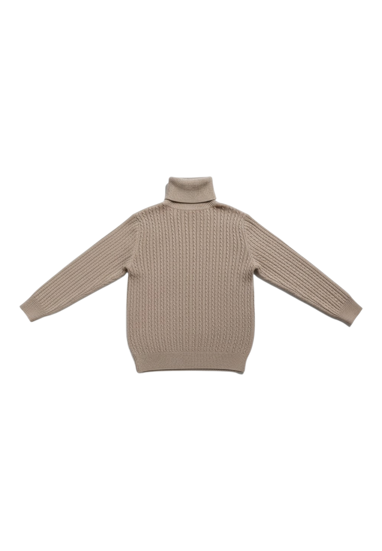 Maglione Collo Alto Uomo Cashmere Company   IU203839