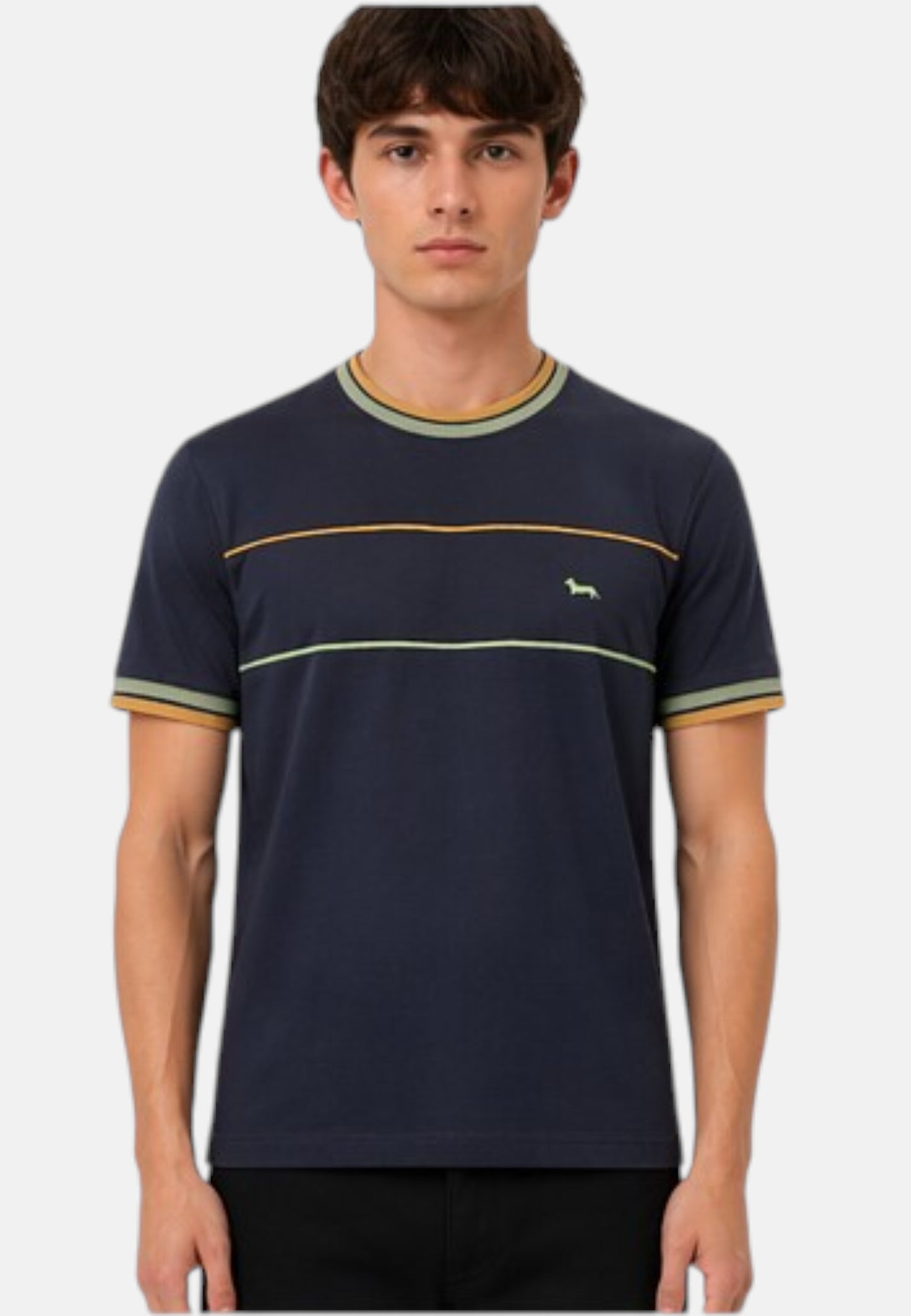 T-Shirt Manica Corta Uomo Harmont & Blaine Relaxed Con Piping  IXQ287021824