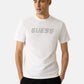 T-Shirt Manica Corta Uomo Guess  Maska Z6RI15I3Z14