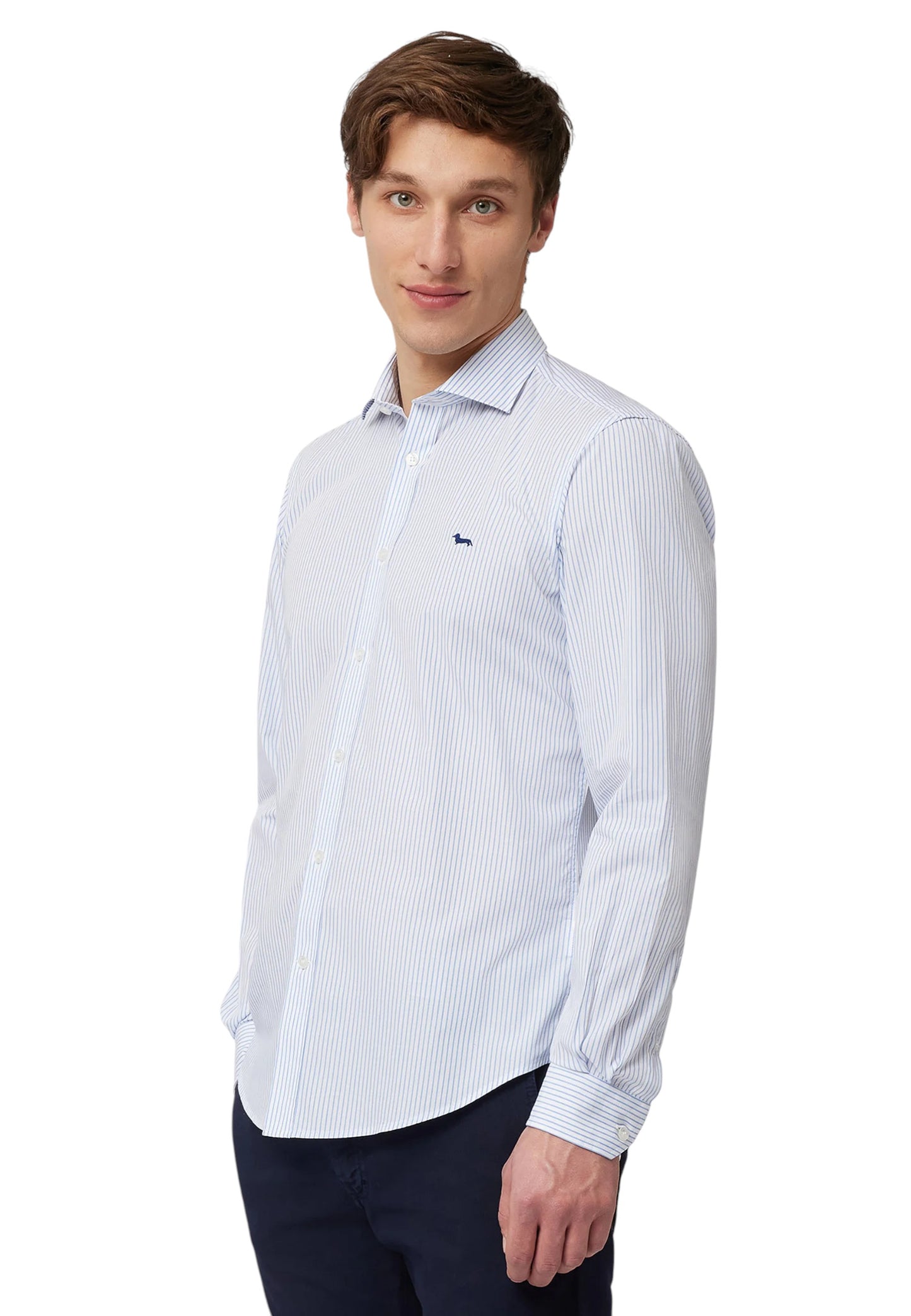 Camicia Manica lunga Uomo Harmont & Blaine A Righe Con Bassotto  CNP074013437I