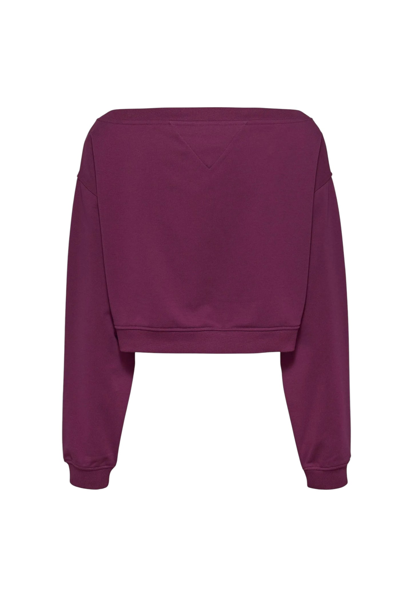 DW0DW17956 - Felpa - Tommy Jeans