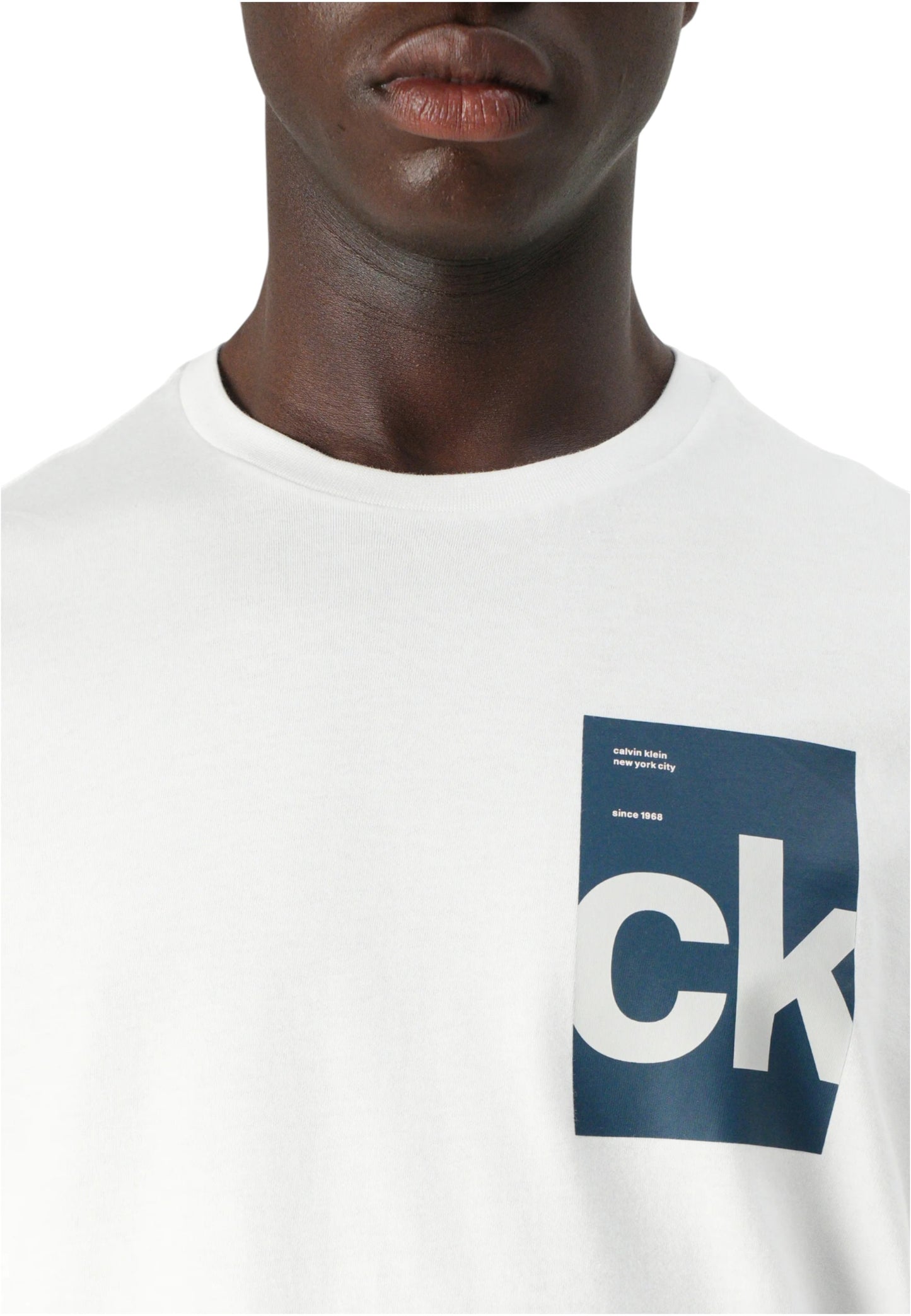 T-Shirt Manica Corta Uomo Calvin klein Jeans  30S Eu Bh Box Gra LV04RC847G