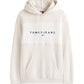 Felpa Con Cappuccio Uomo Tommy Jeans  Tjm Regular Cblk Linear DM0DM21932