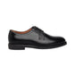 Stringate Basse Uomo Nero Giardini Lucide
