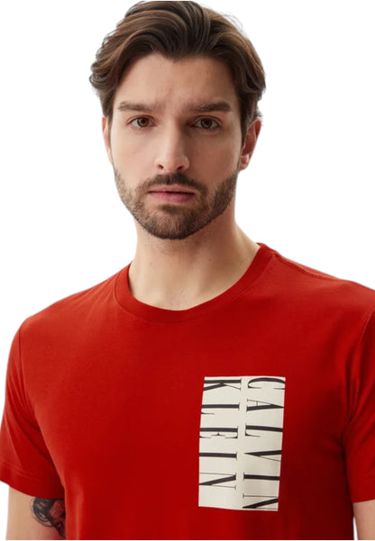 T-Shirt Manica Corta Uomo Calvin klein Jeans