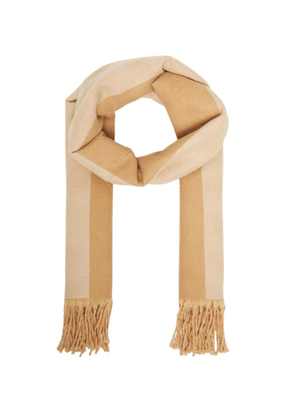 Sciarpa  Donna Guess 70X185  AW5419POL03