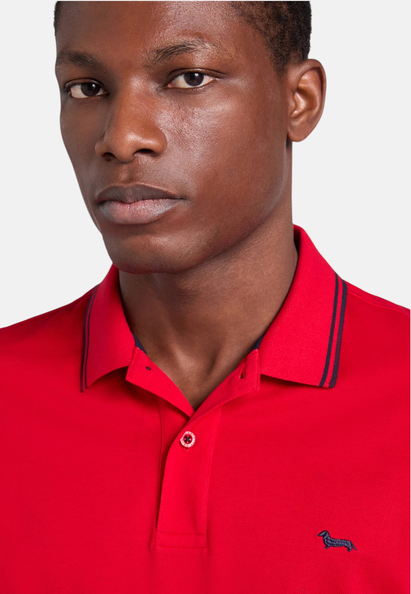 Polo Manica Corta Uomo Harmont & Blaine Con Righini A Contrasto  LNQ010021148