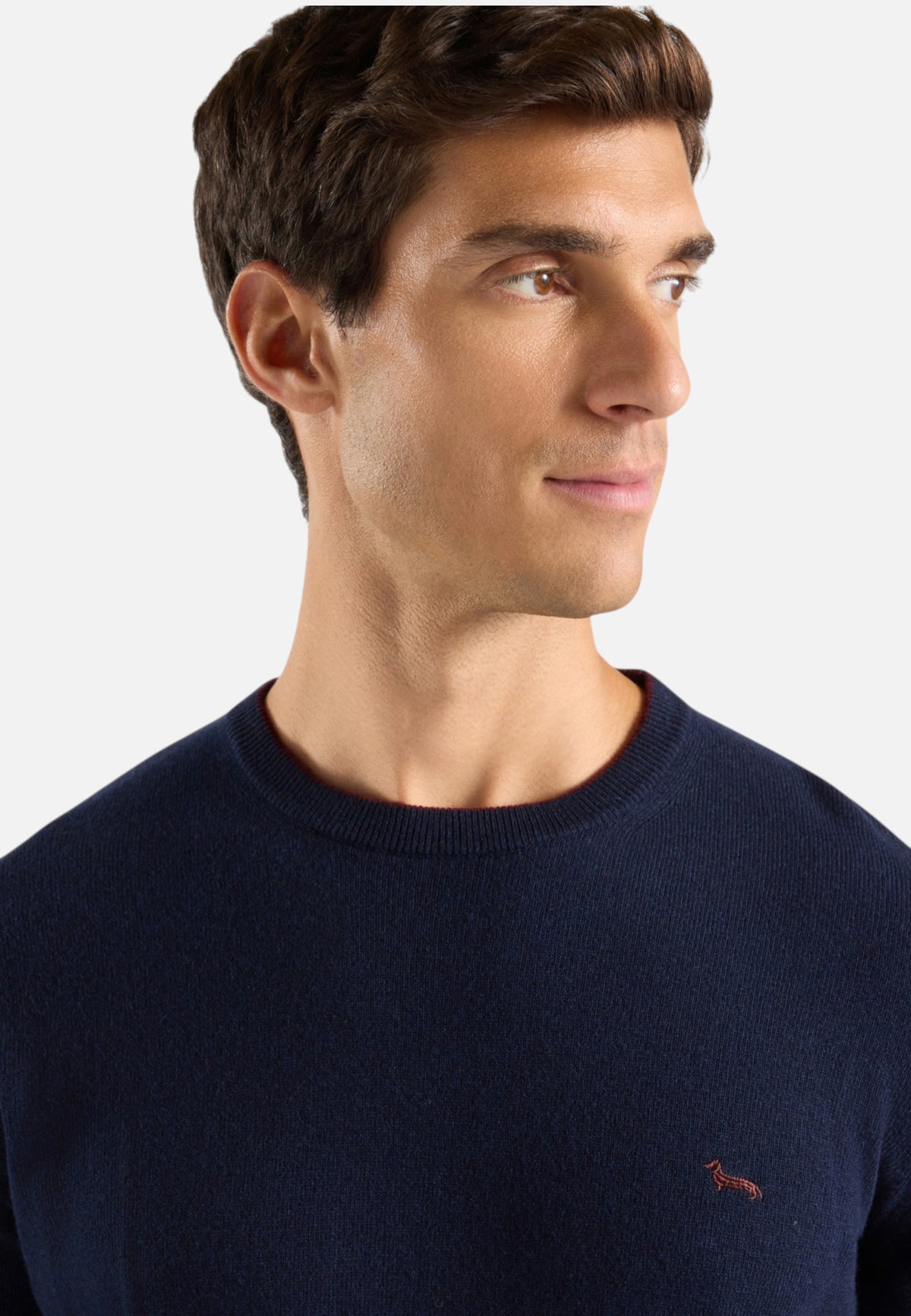 Maglione A Girocollo Uomo Harmont & Blaine Misto lana e cashmere, Dettagli a contrasto, Regular Fit, Finiture a costine, Logo Harmont & Blaine  HRR007030187