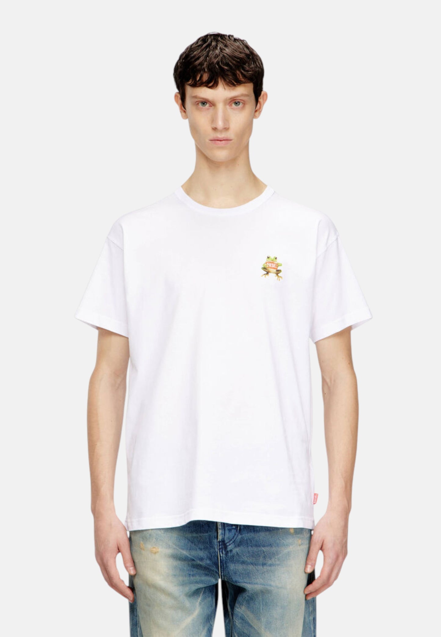 T-Shirt  Uomo Diesel   A215620PLAT