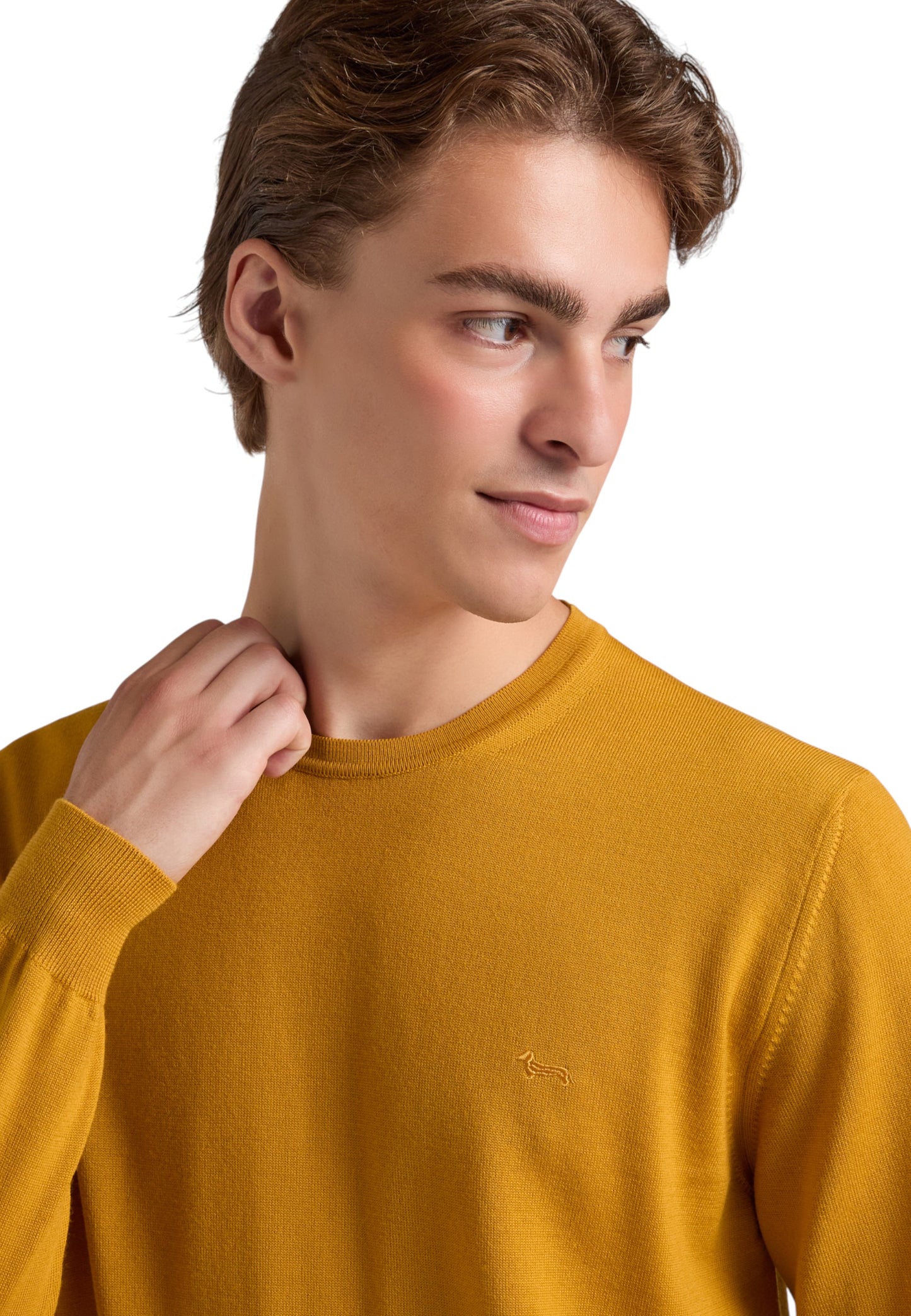 Maglia A Girocollo Uomo Harmont & Blaine   HRP012030788