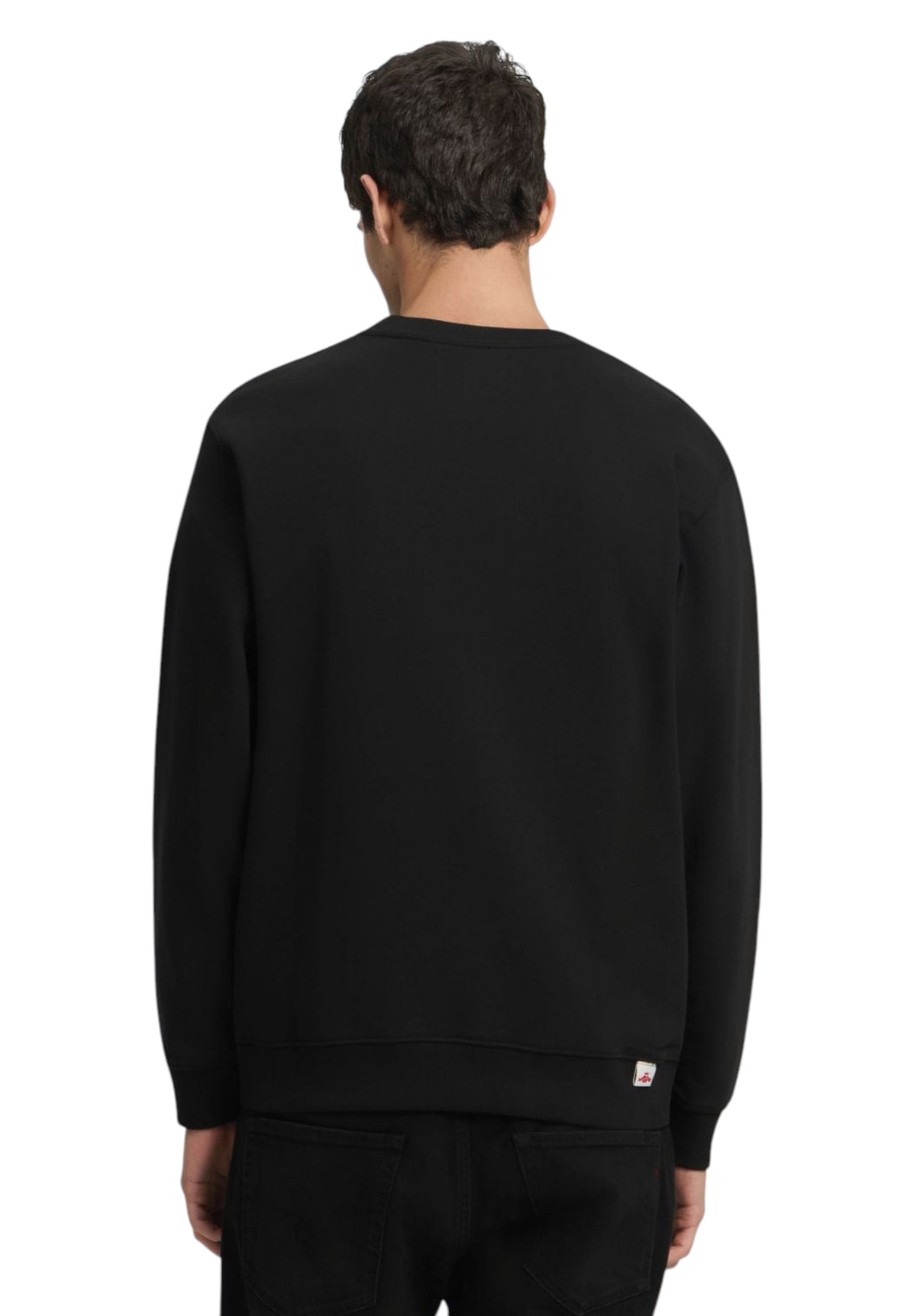 Felpa A Girocollo Uomo Replay Con Lettering  M3187 .000.23802