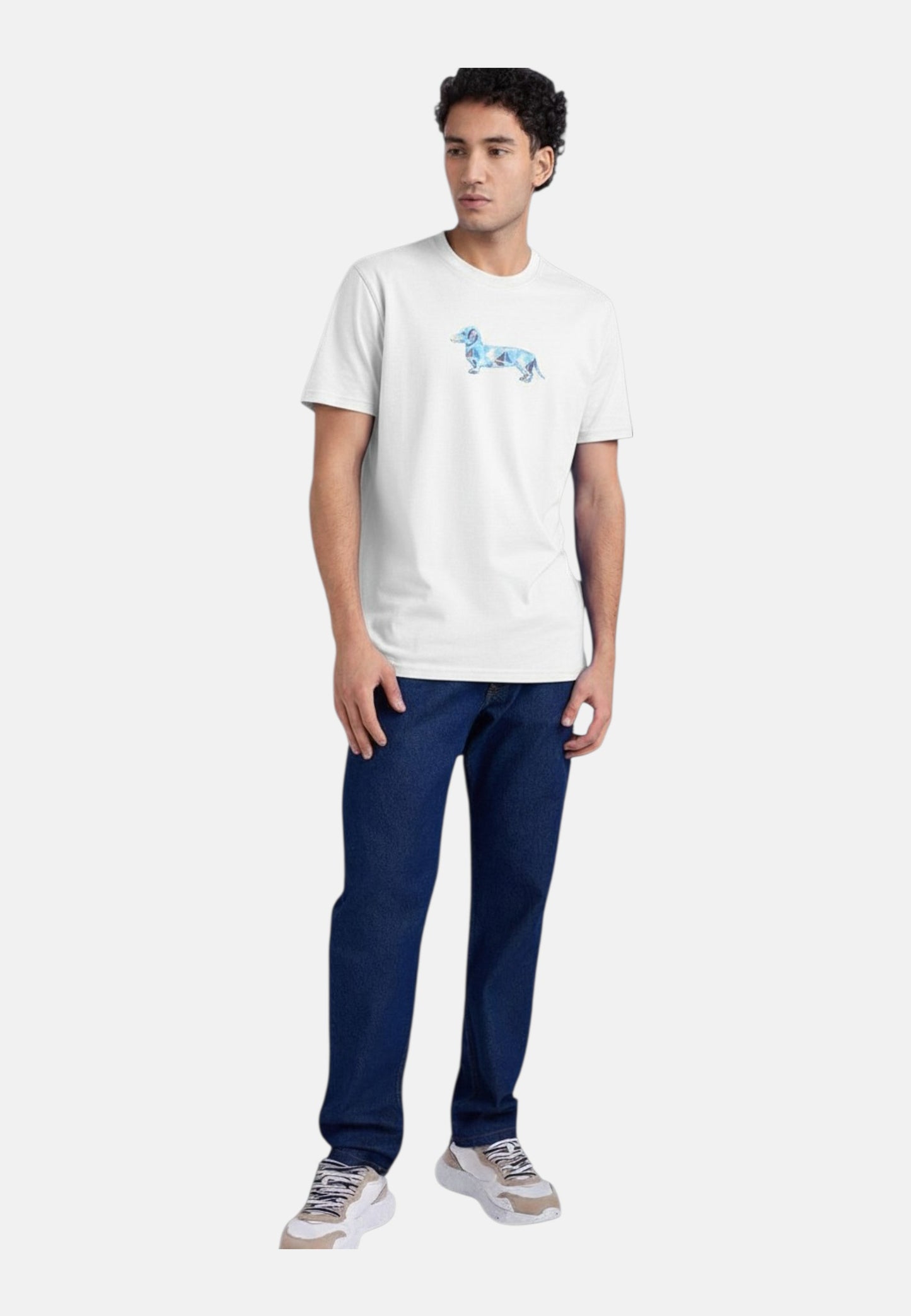 T-Shirt Manica Corta Uomo Harmont & Blaine Con Stampa Bassotto 3D  IRQ403021055S