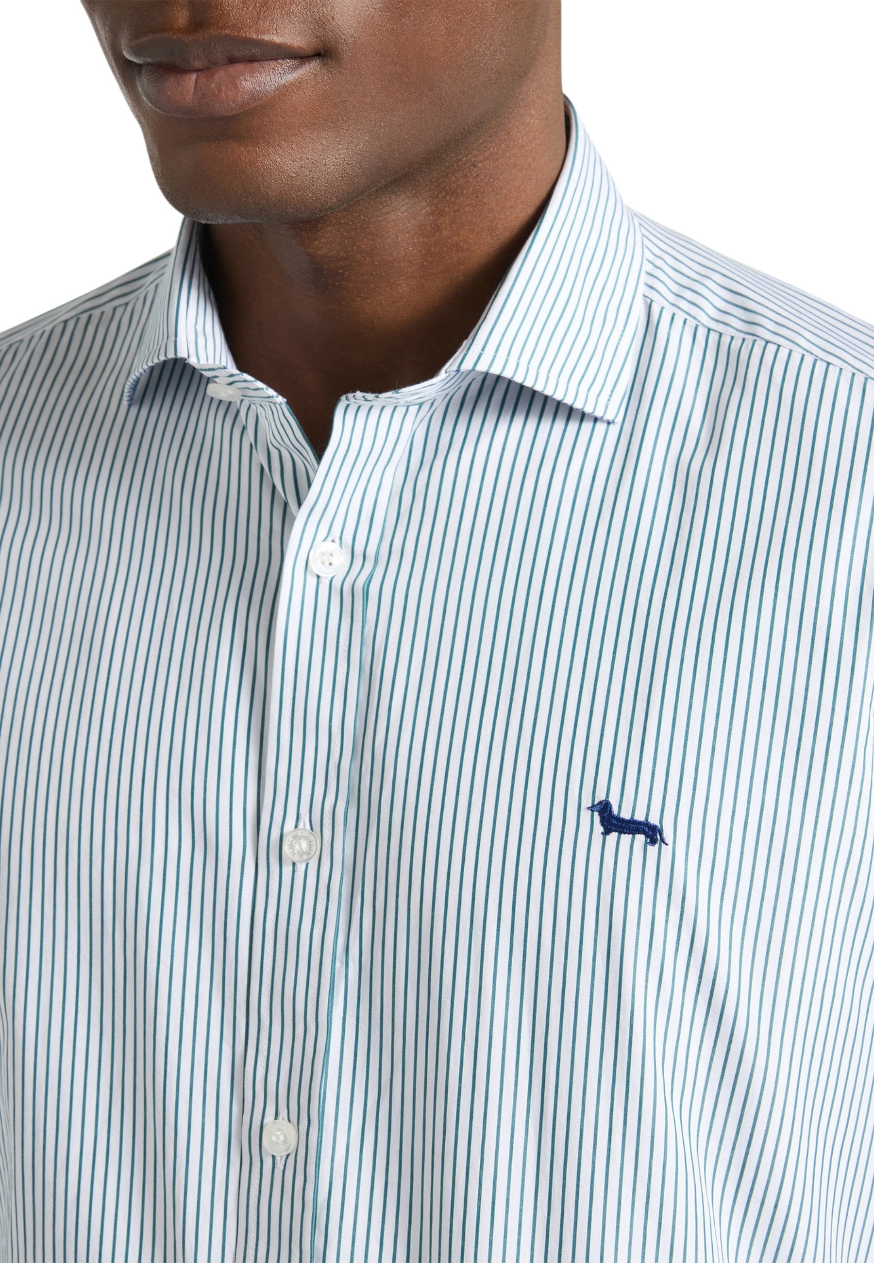 Camicia Manica lunga Uomo Harmont & Blaine A Righe Con Bassotto  CNP074013437I