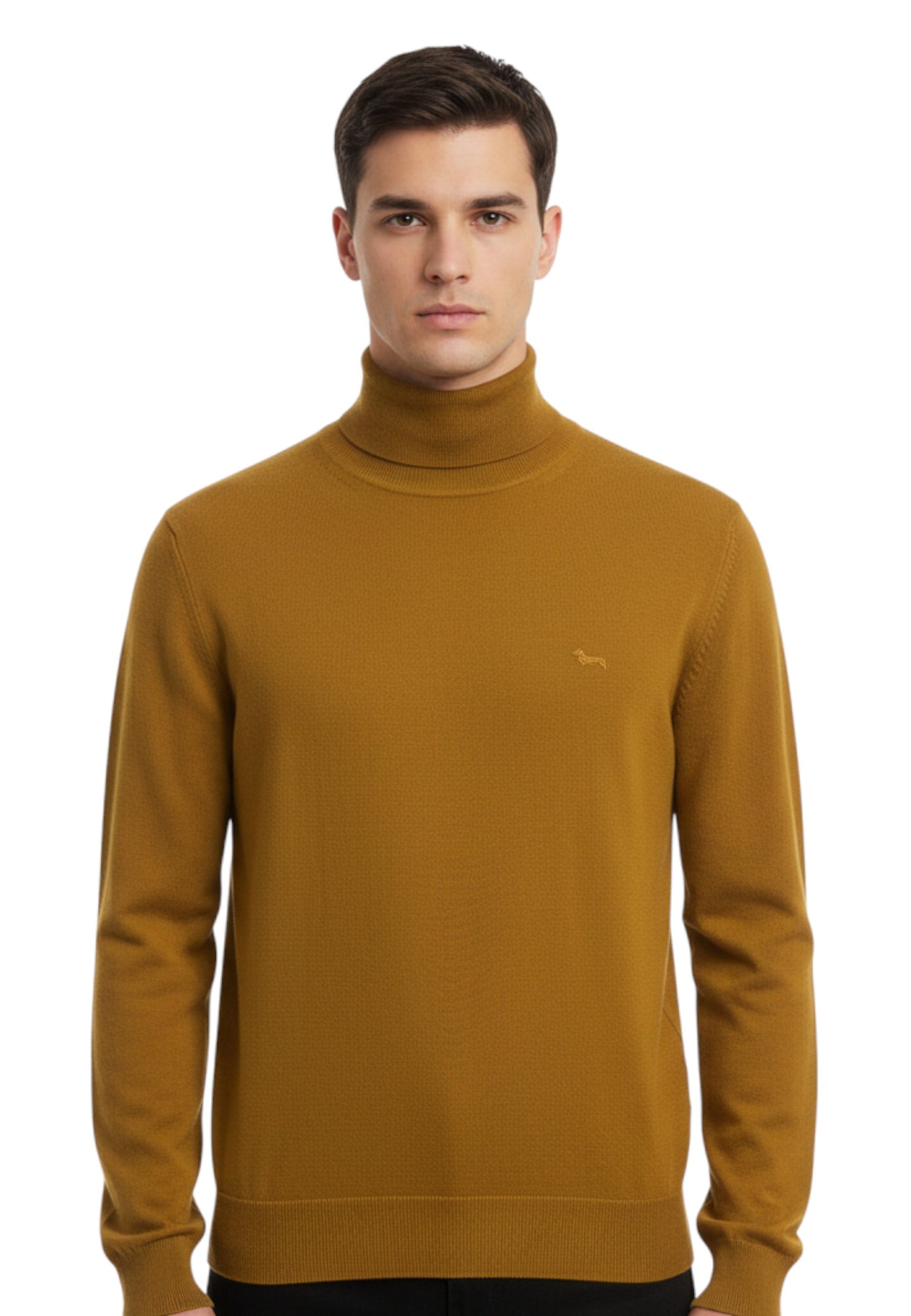 Maglione Collo Alto Uomo Harmont & Blaine Dolcevita Basic In Merino  HRP006030478
