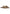 Ciabatte Sabot Donna Liu Jo Pelo Cavallino Leopard Emel 09 SA6145TX521