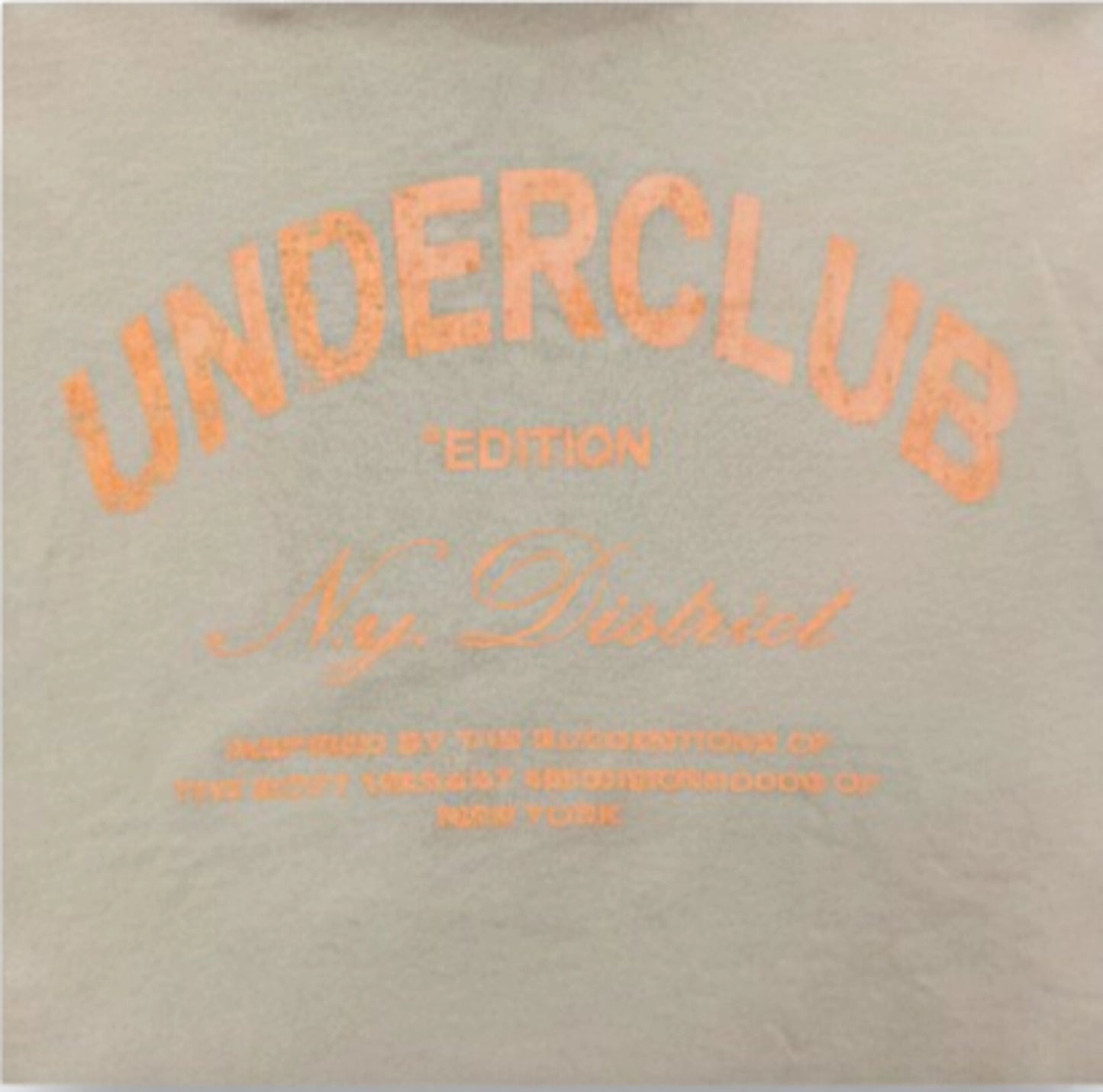 Felpa Con Cappuccio Uomo Underclub   25EUC80216