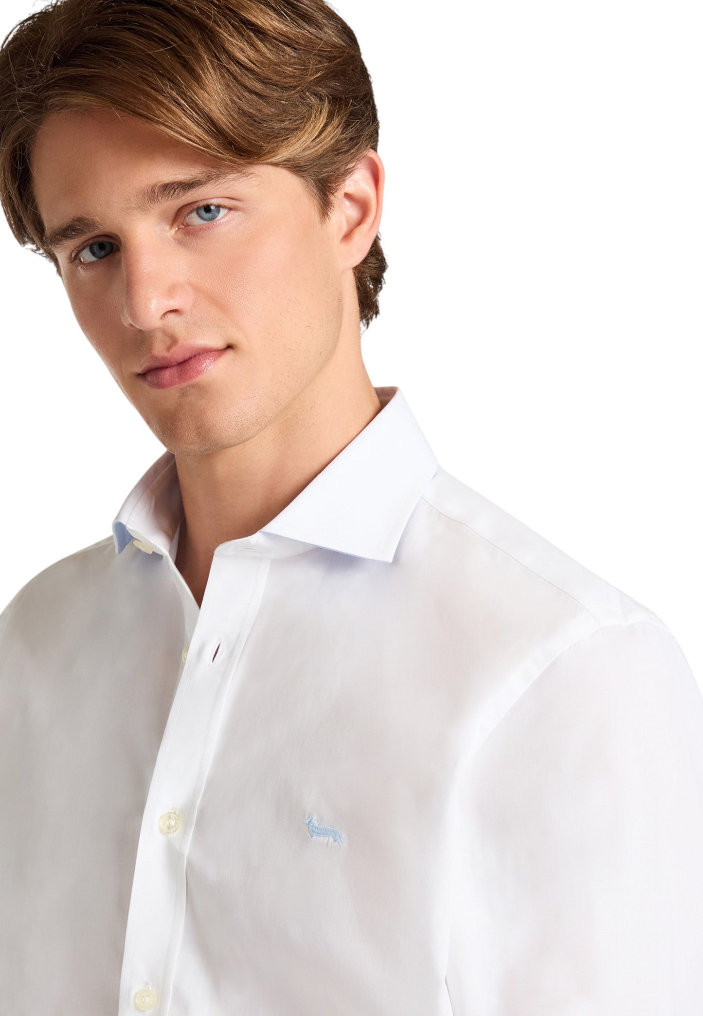 Camicia Manica lunga Uomo Harmont & Blaine in Popeline Stretch  CNP011012523I