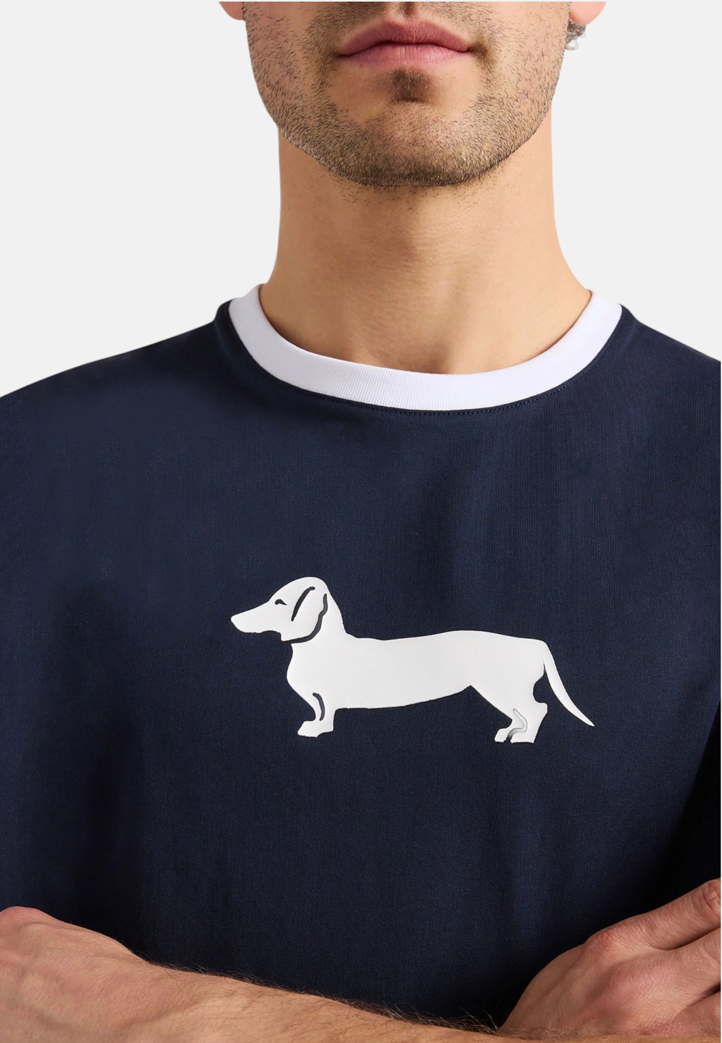 T-Shirt Manica Corta Uomo Harmont & Blaine Con Stampa Bassotto 3D  IXQ290021771