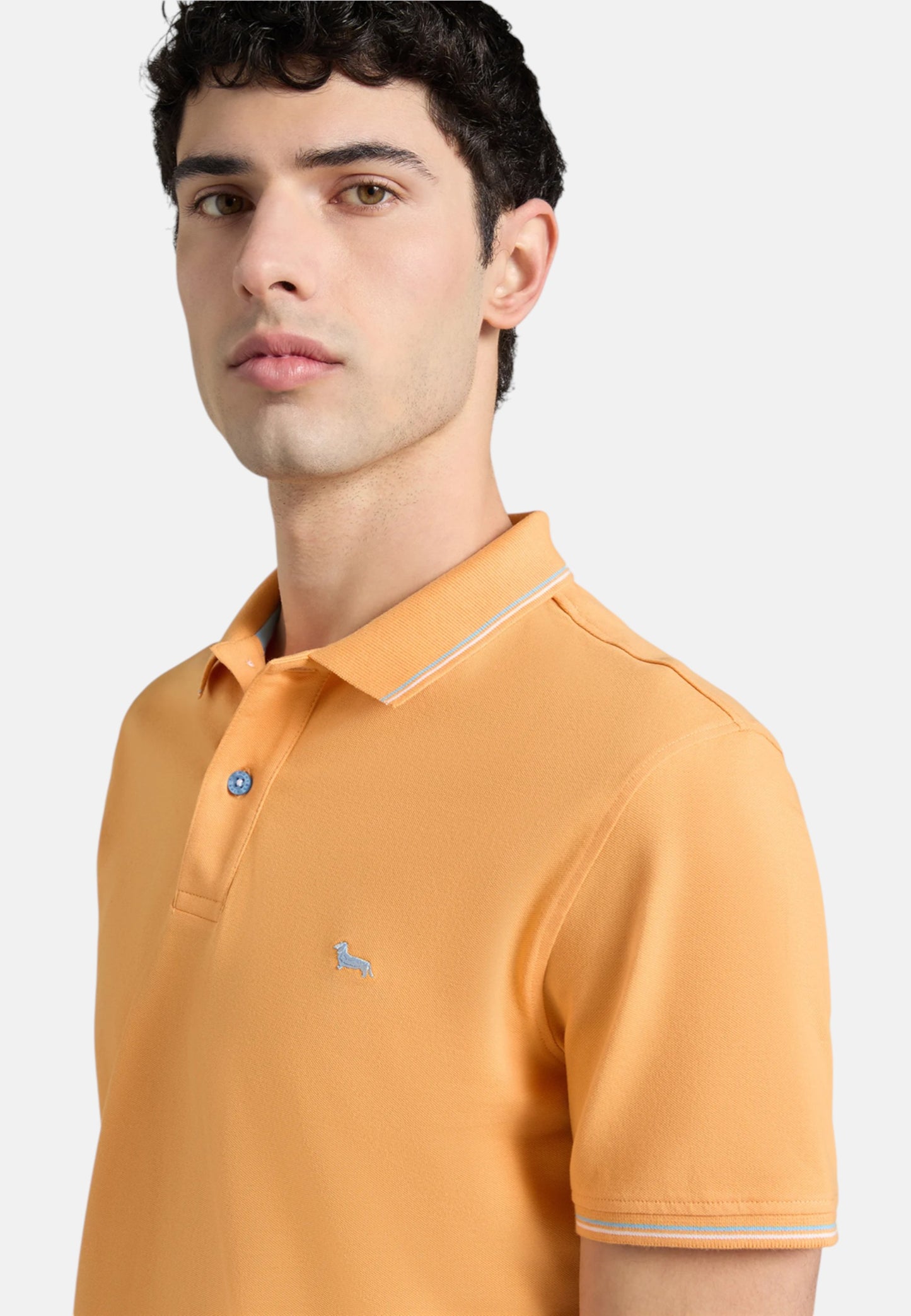 Polo Manica Corta Uomo Harmont & Blaine Con Orli E Righini A Contrasto  LNQ032020862