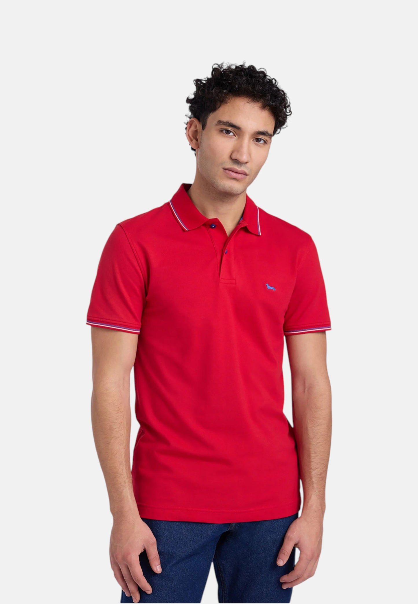 Polo Manica Corta Uomo Harmont & Blaine Con Orli E Righini A Contrasto  LNQ032020862
