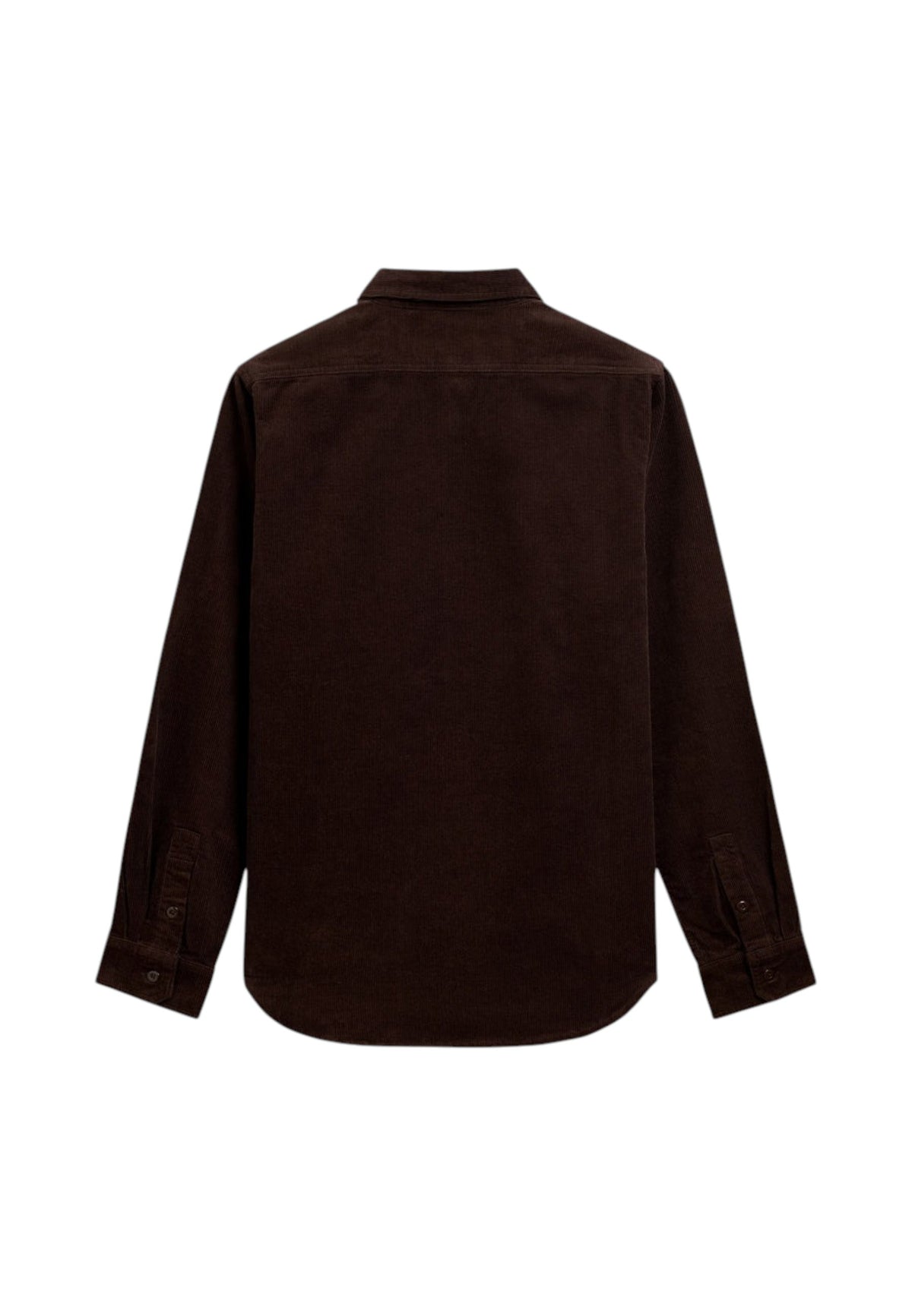 Camicia  Uomo Sebago  Leeword 781335W