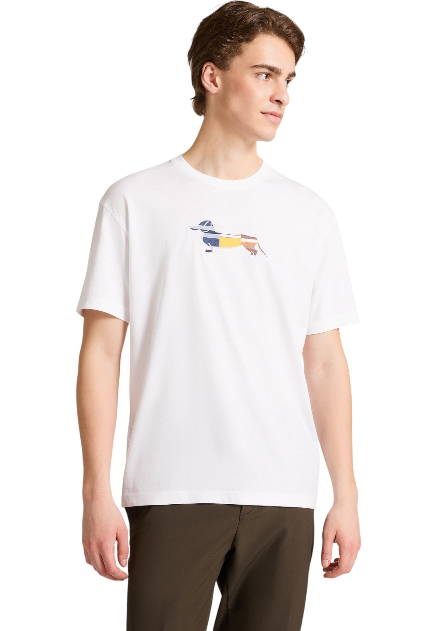 T-Shirt Manica Corta Uomo Harmont & Blaine Logo Up Cycling  IXP273021055