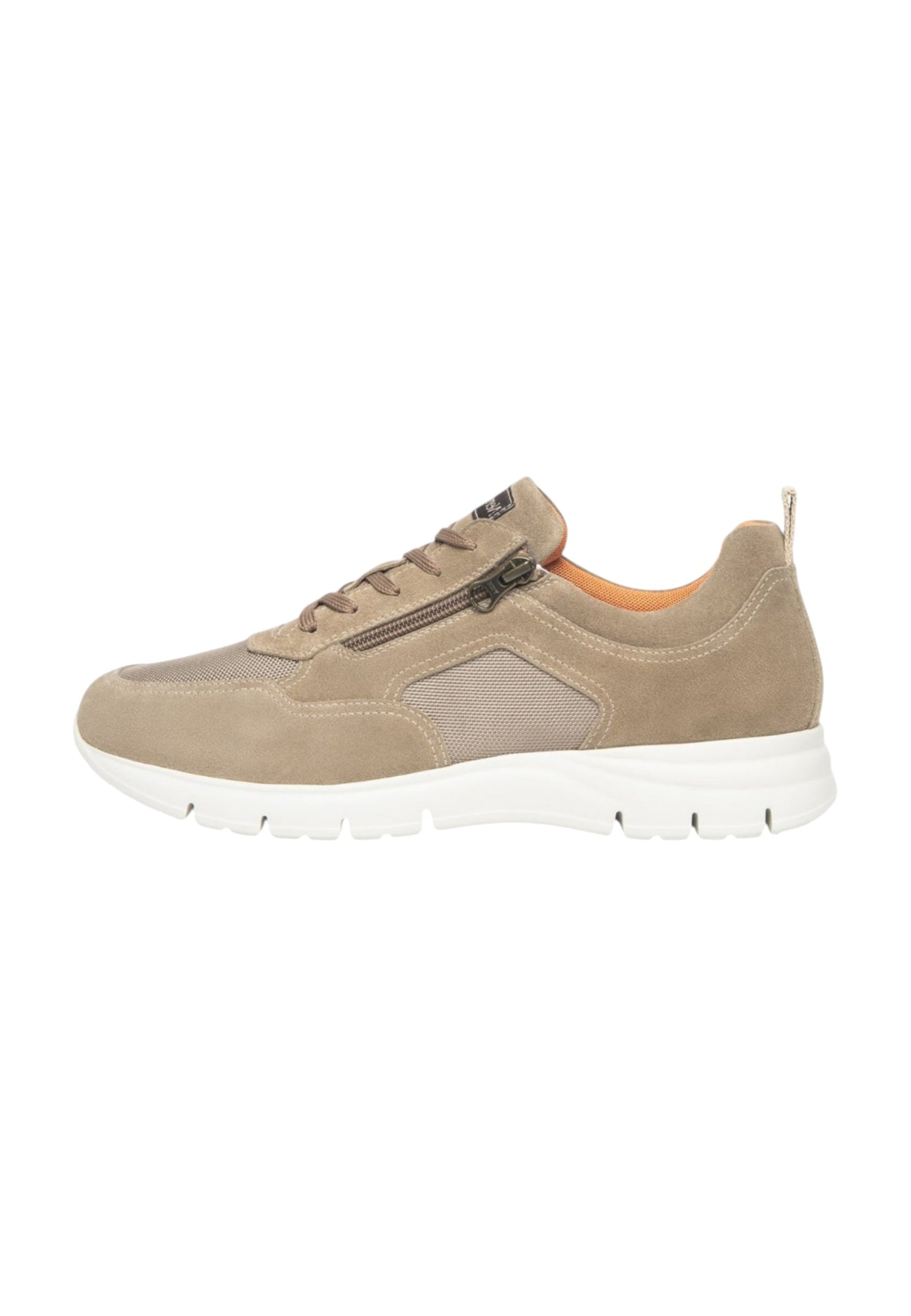 Sneakers Basse Uomo Nero Giardini Con Zip Laterale  E601091U