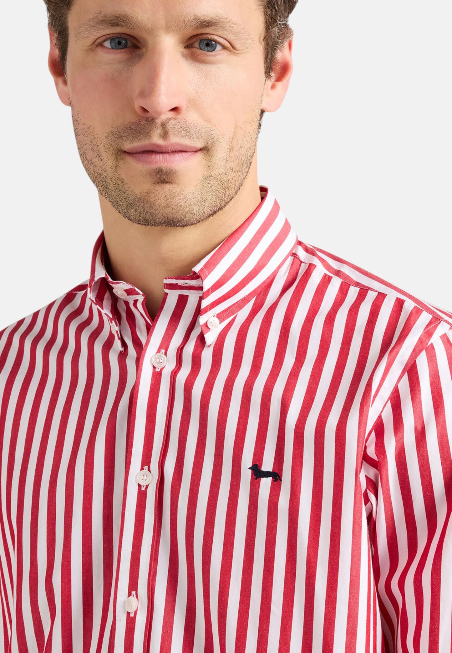 Camicia Manica lunga Uomo Harmont & Blaine "Righe ""Sorbetto"""  CRQ001013683B