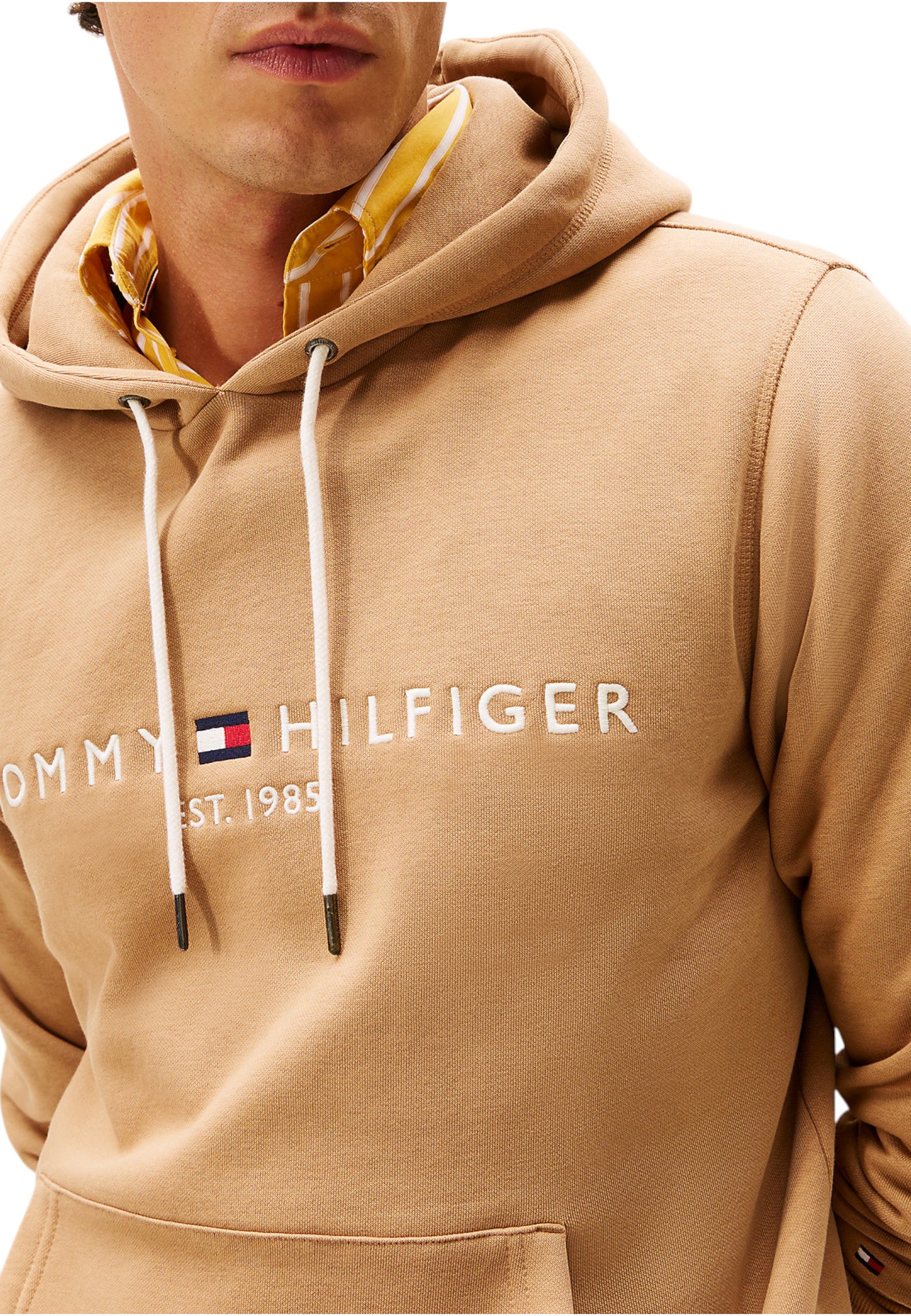 Felpa Con Cappuccio Uomo Tommy Hilfiger  Tommy Logo MW0MW11599