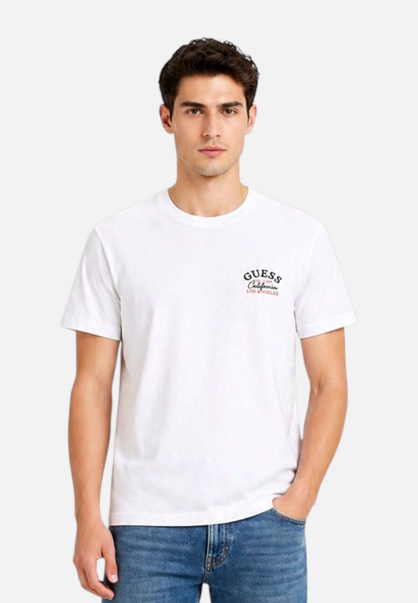 T-Shirt Manica Corta Uomo Guess  Lemon Circle M6GI19K3051