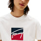 T-Shirt Manica Corta Uomo Tommy Jeans  Tjm Regular Rwb Dna DM0DM21940