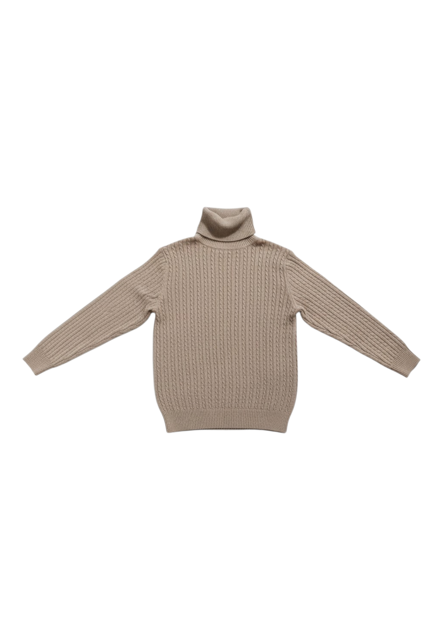Maglione Collo Alto Uomo Cashmere Company   IU203839