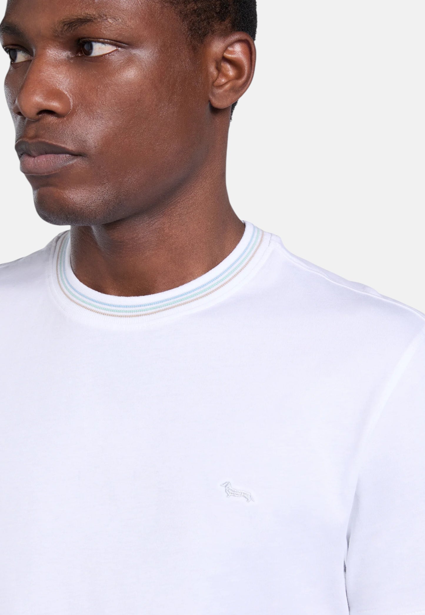 T-Shirt Manica Corta Uomo Harmont & Blaine Con Collo E Orli Rigati  IRQ415021055
