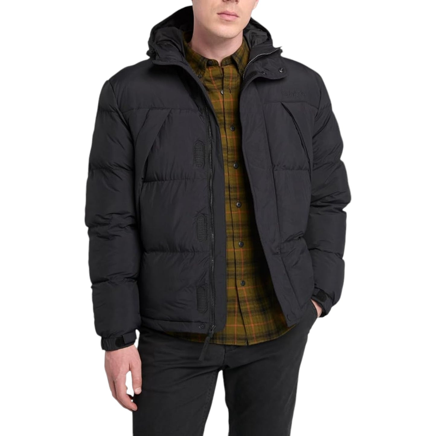 TB0A6267 - Giacca - Timberland