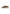 Sneakers Basse Uomo Guess  Elba FMPELAFAL12