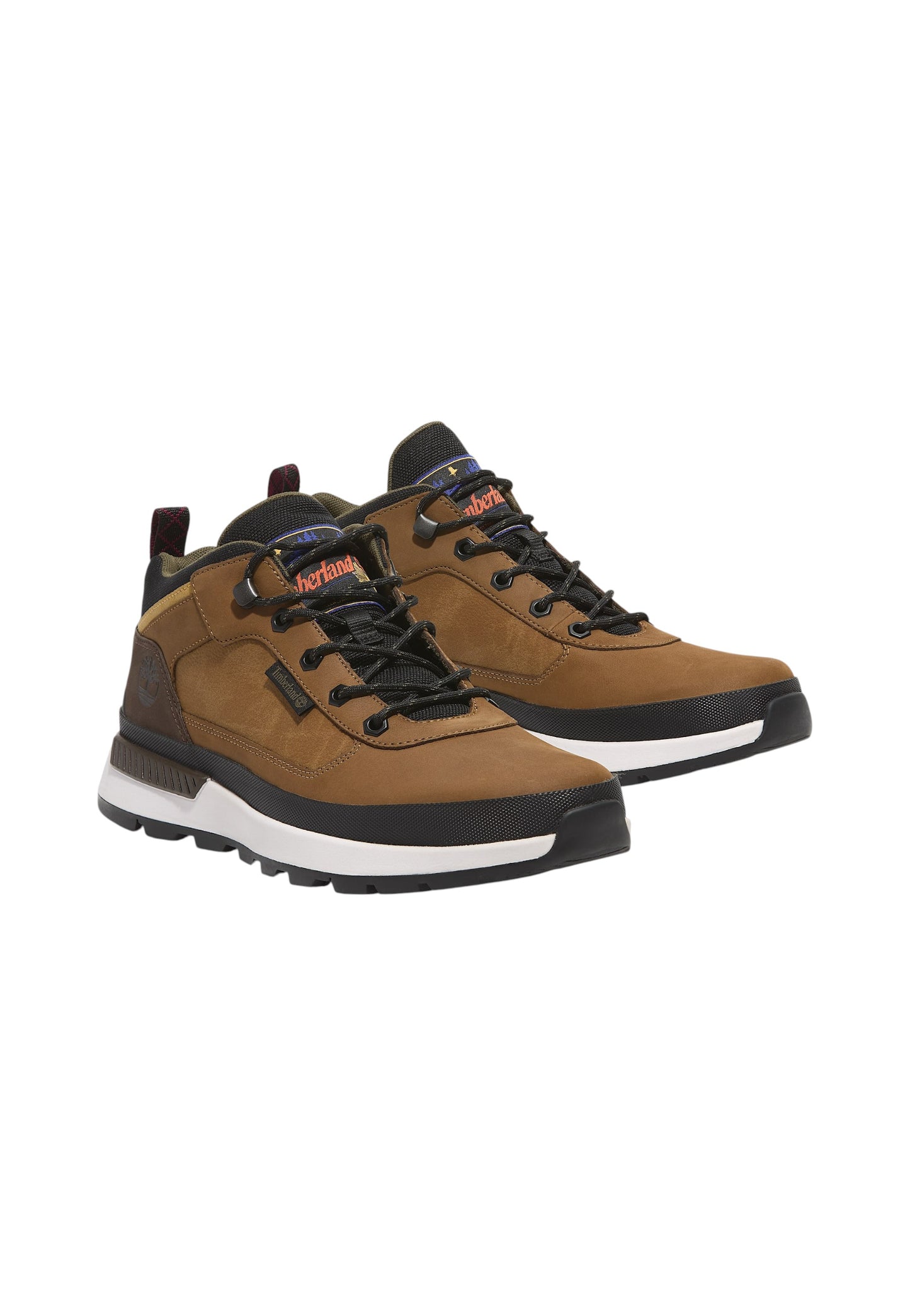 Sneakers Alte Uomo Timberland  Field Trekker Low Lace Up TB0A6DKNE