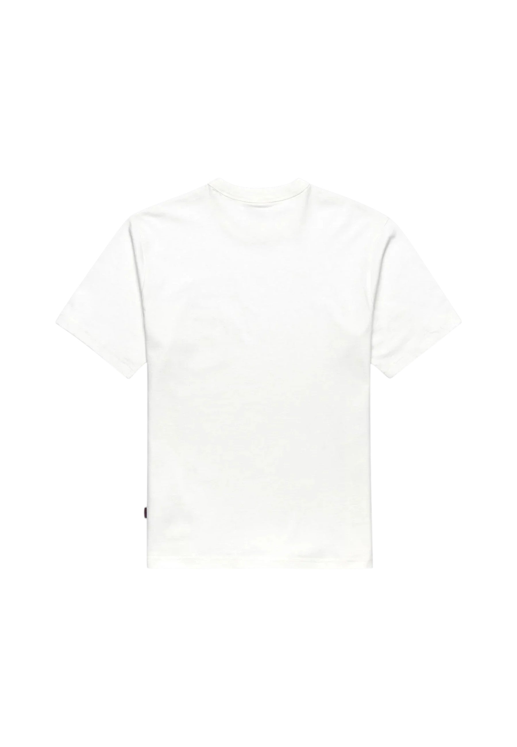 T-Shirt Manica Corta Uomo Sebago
