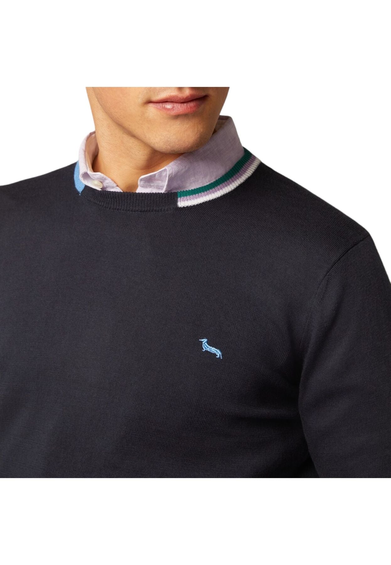 Maglione A Girocollo Uomo Harmont & Blaine  Coste Intarsiate HRJ455030763