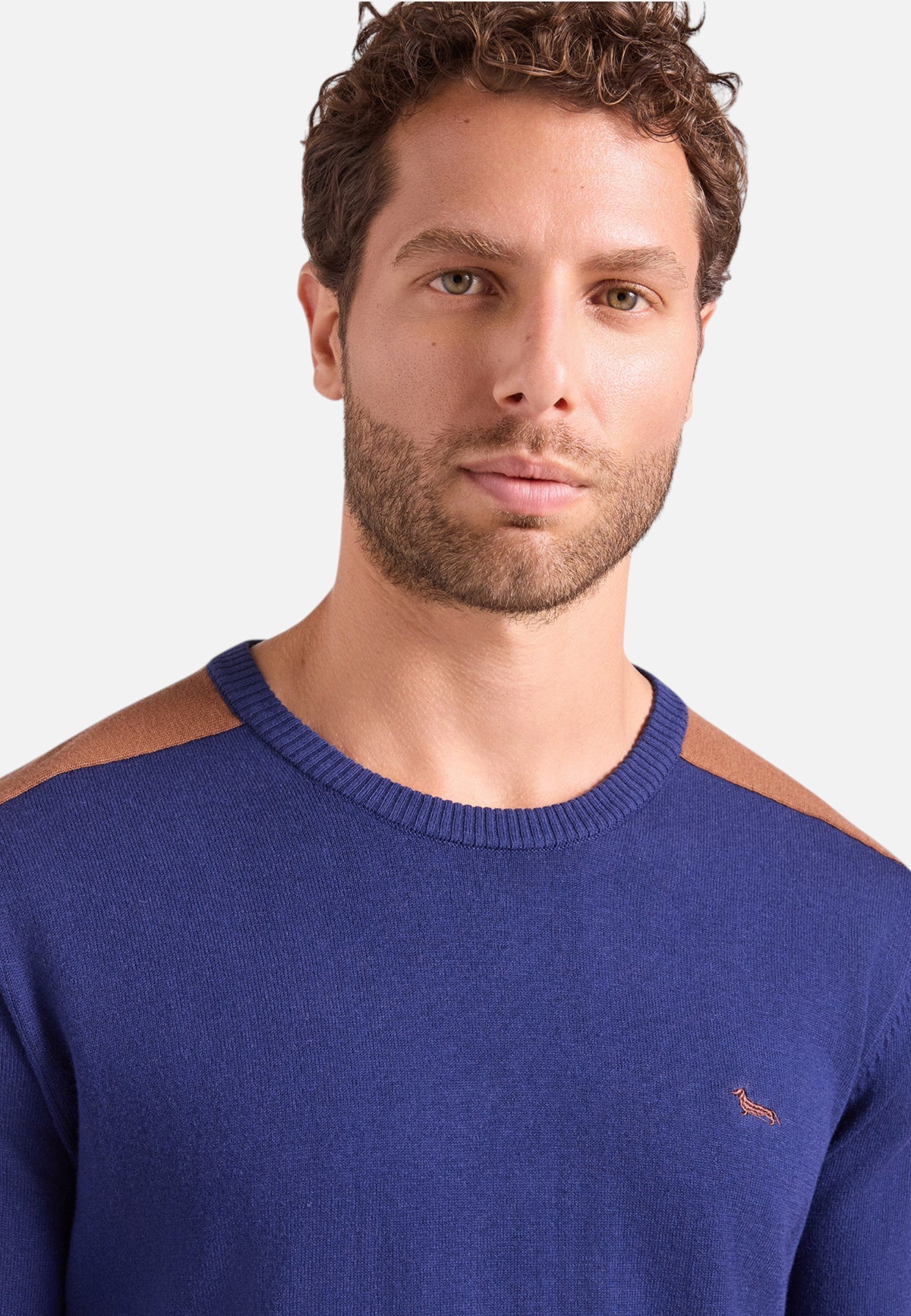 Maglia A Girocollo Uomo Harmont & Blaine Misto cotone e lana, Design color block, Regular Fit, Finiture a costine, Logo Harmont & Blaine  HRR908030788