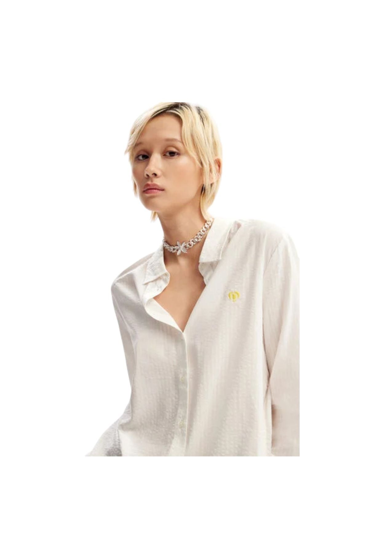 Camicia  Donna Desigual   24SWCW36
