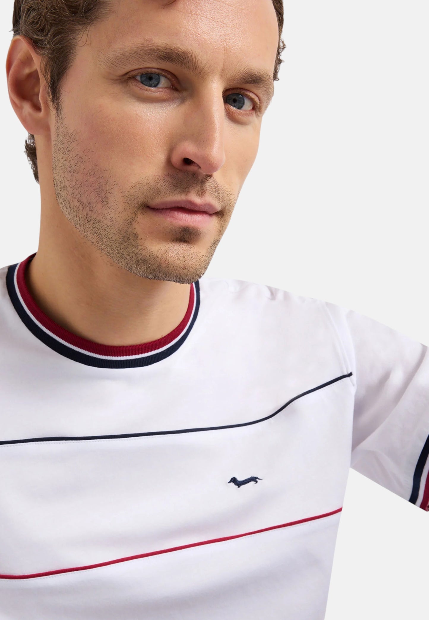 T-Shirt Manica Corta Uomo Harmont & Blaine Relaxed Con Piping  IXQ287021824